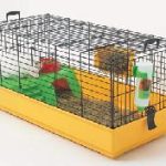 lapin-cage